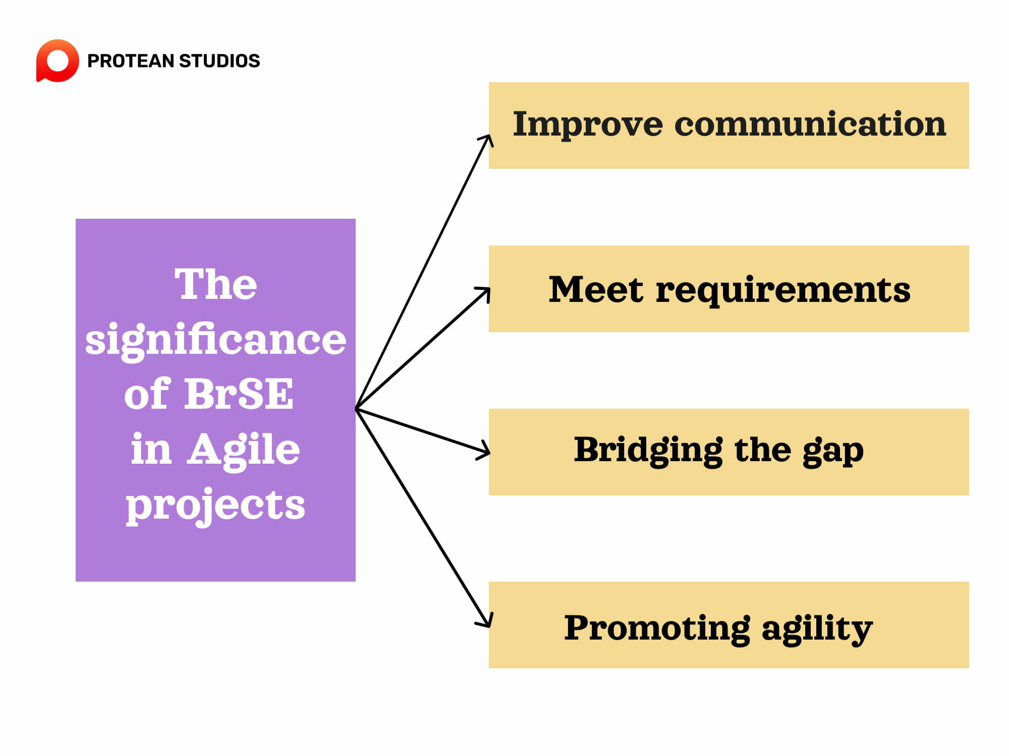 BrSE and it meaning in Agile projects
